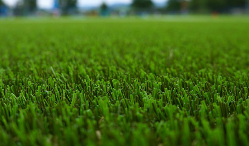 Budget artificial grasses